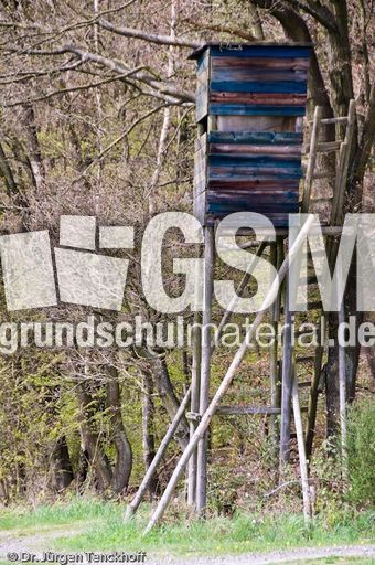 Hochstände (76 von 154).jpg